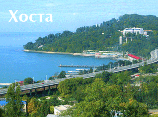 Хоста