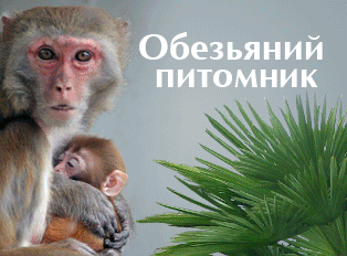 Сухумский обезьяний питомник