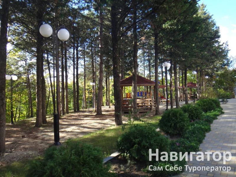 ЧАЙКА - база отдыха в пос. Новомихайловский