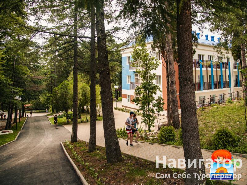 ЧАЙКА - база отдыха в пос. Новомихайловский
