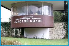 ЗОЛОТОЙ КОЛОС - детский оздоровительный комплекс в пос. Новомихайловский