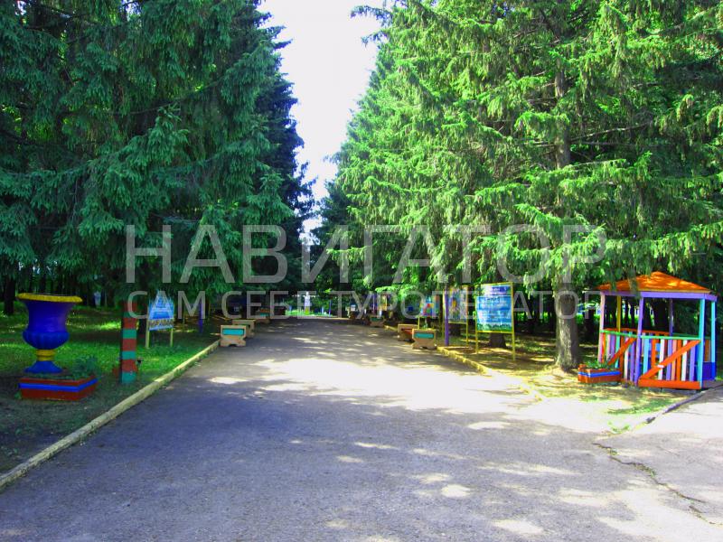 ЭЛЛАДА - санаторно-оздоровительный лагерь в пос. Новомихайловский