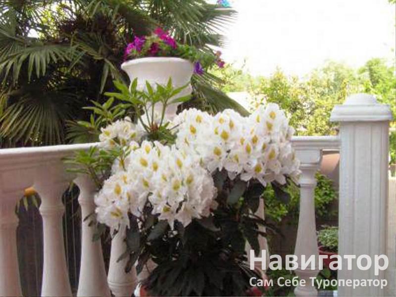 ЛИВАДИЯ - мини-гостиница в Курортные поселки Лазаревского района