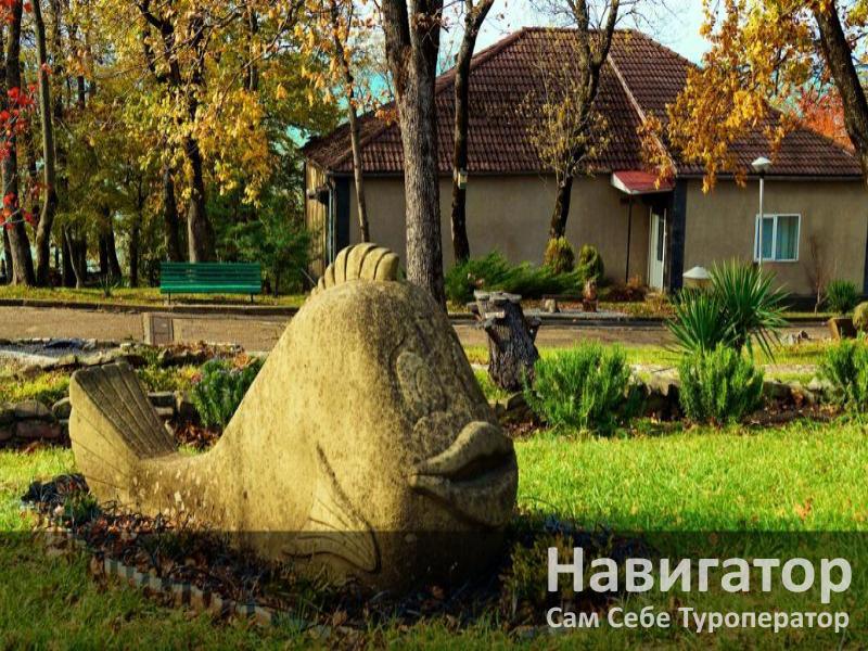 СМЕНА - санаторий в Курортные поселки Туапсе