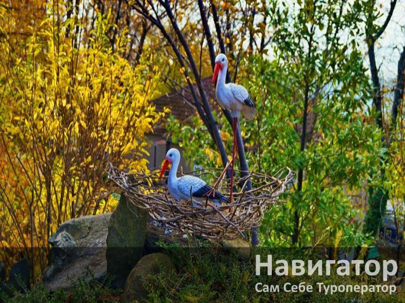 СМЕНА - санаторий в Курортные поселки Туапсе