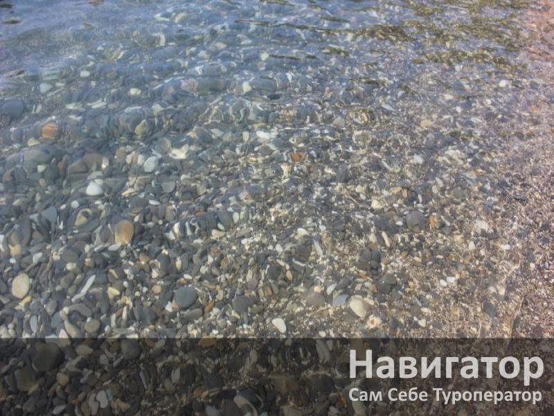 ЗОЛОТОЙ ПЕЛИКАН - гостевой дом в Геленджик (Тонкий мыс)