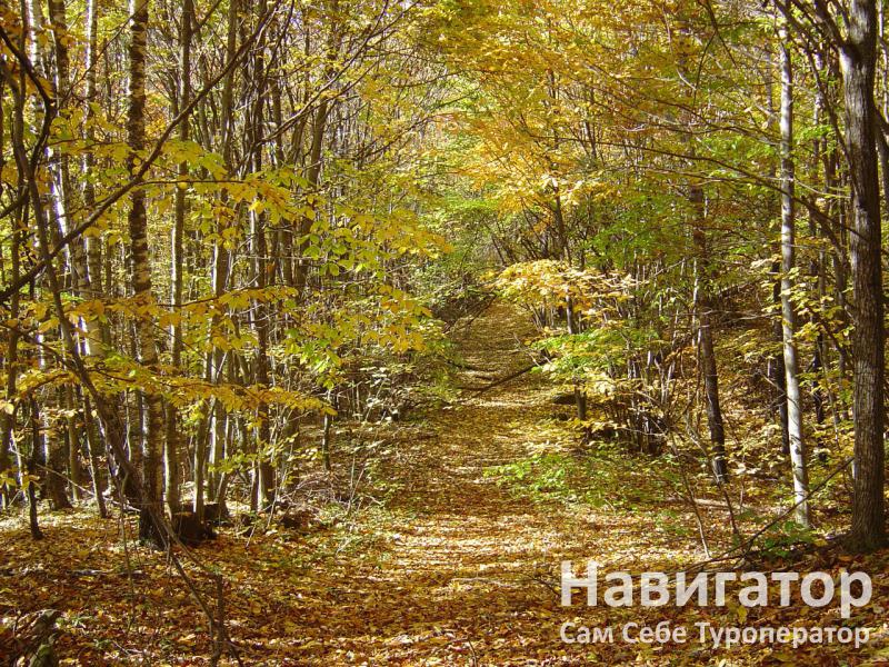 БУРНЫЙ- гостевой двор в Мостовской район