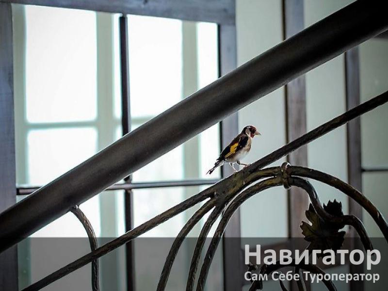 VILLA CLUB - гостиница в Геленджик (Тонкий мыс) VILLA CLUB - гостиница в Геленджик (Тонкий мыс)