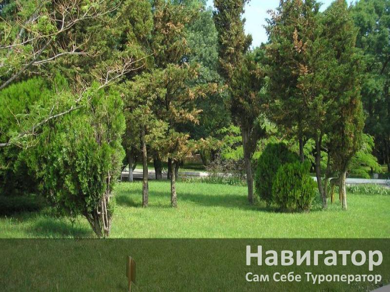 ГЛОРИЯ - пансионат в Геленджик (Тонкий мыс)