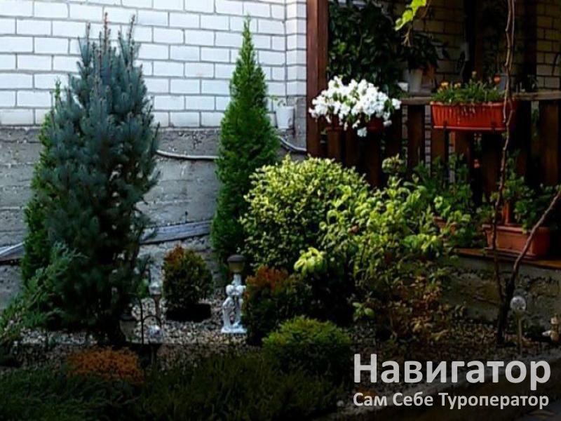 СВЕТЛАНА - гостевой дом в Геленджик (Тонкий мыс) СВЕТЛАНА - гостевой дом в Геленджик (Тонкий мыс)