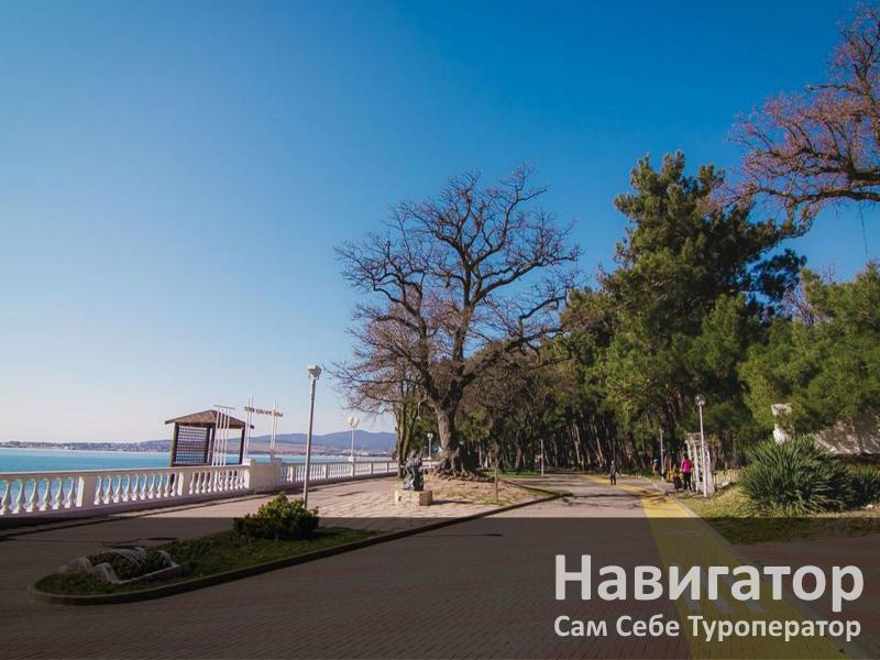 АЛЕКСАНДРИЯ - отель в Геленджик центр