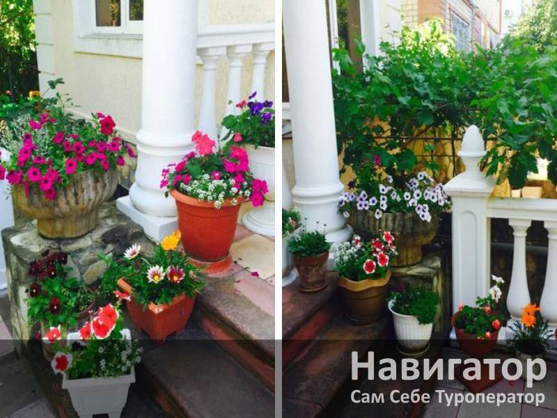 ВАЛЕНТИНА - гостевой дом в Геленджик (Тонкий мыс)