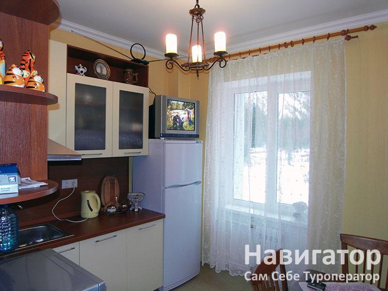 У ЛАРИСЫ - квартира в Домбай