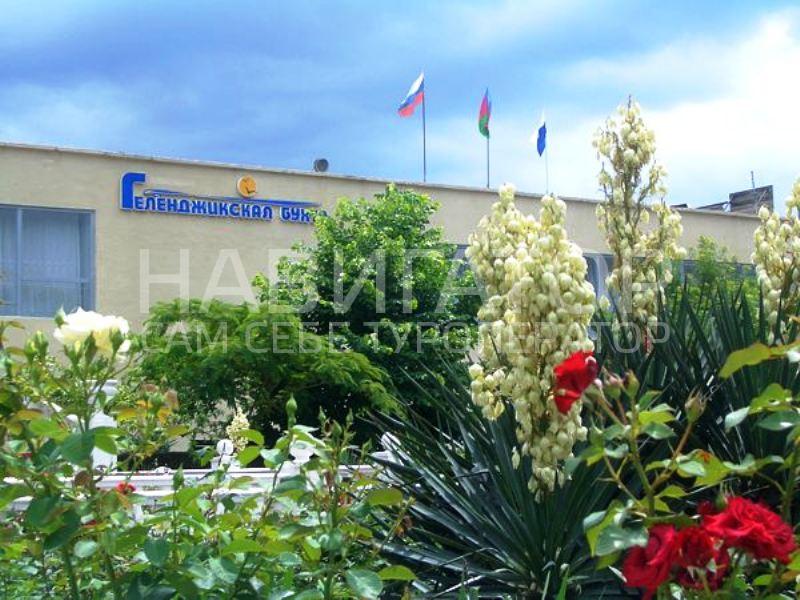 ГЕЛЕНДЖИКСКАЯ БУХТА - пансионат в Геленджик центр ГЕЛЕНДЖИКСКАЯ БУХТА - пансионат в Геленджик центр