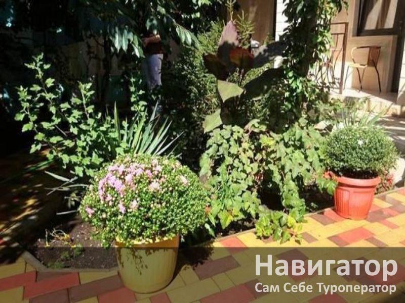 ЯНТАРЬ - гостевой дом в Геленджик (Толстый мыс)