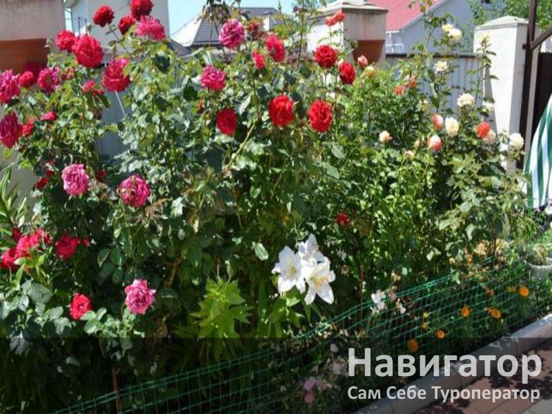 СТРАННИК - гостевой дом в Геленджик центр