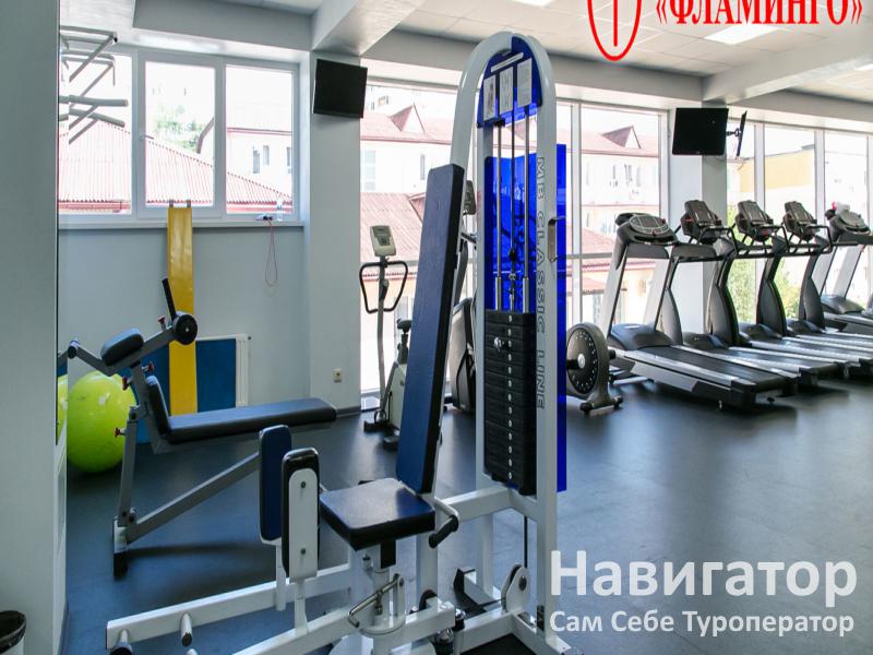 ФЛАМИНГО - пансионат с лечением в Дивноморское