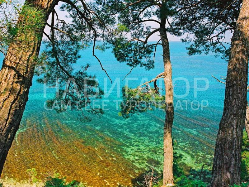 ЗОКИО - база отдыха в Курортные поселки Геленджика