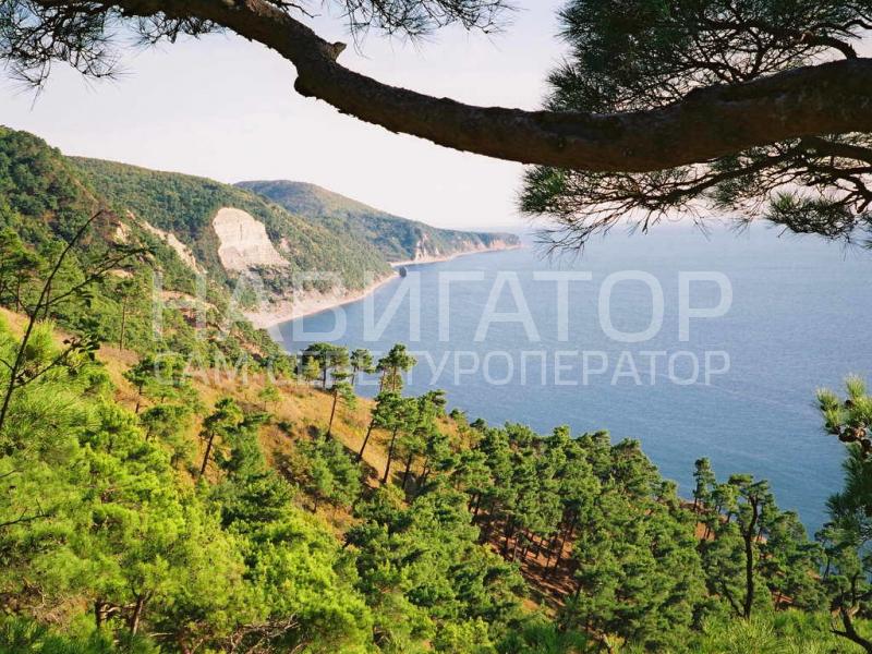 ЗОКИО - база отдыха в Курортные поселки Геленджика
