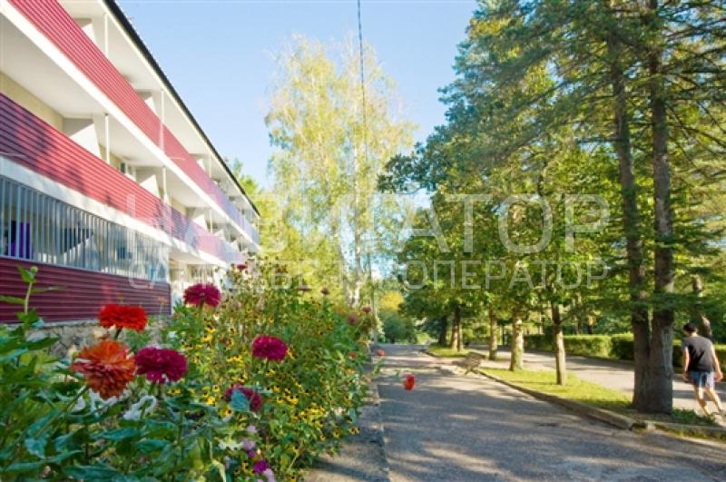 ЮЖНЫЙ - пансионат в Курортные поселки Геленджика