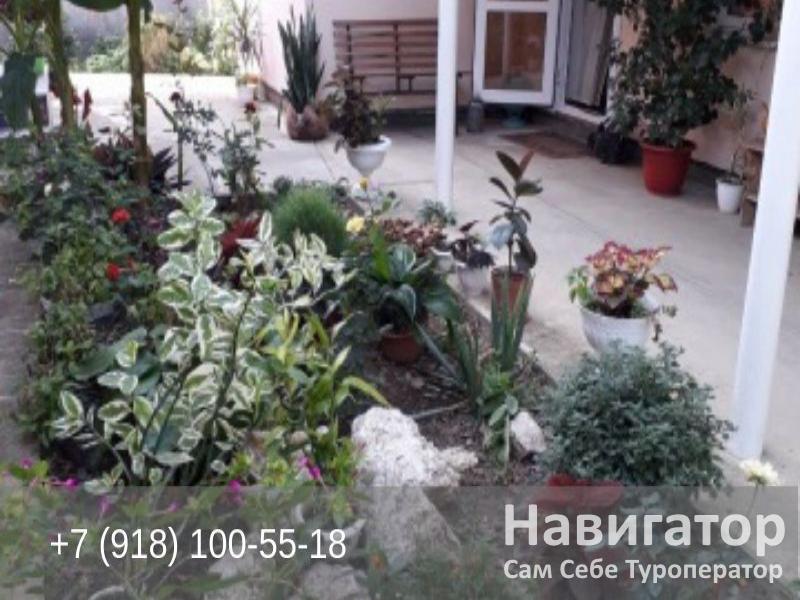 АЛЕНА - гостевой дом в Село Великовечное