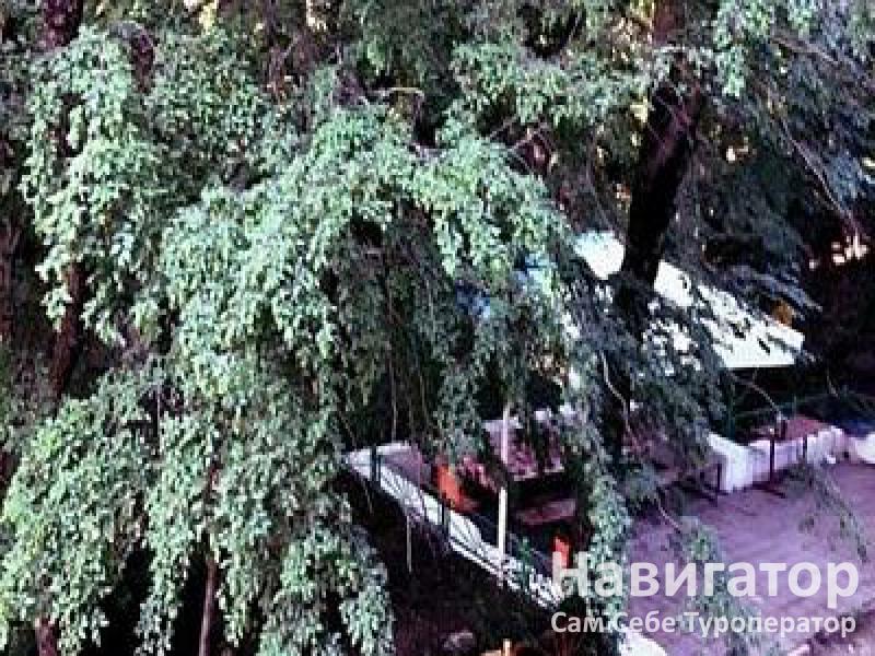 МИР - база отдыха в Широкая балка