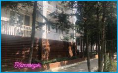 АЛЬБАТРОС - база отдыха в Широкая балка