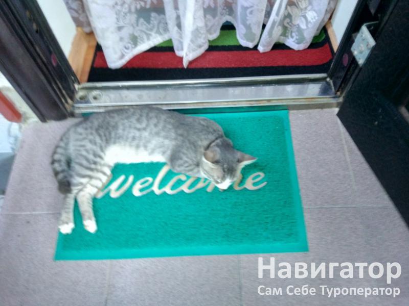 СВЕТЛАНА - гостевой дом в Благовещенская