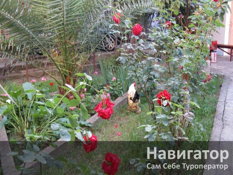 АЛЕКСАНДР - гостевой дом в Адлер