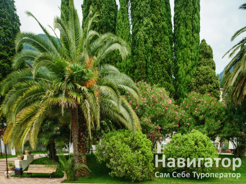 ЧЕЛЮСКИНЦЕВ - пансионат в Гагра