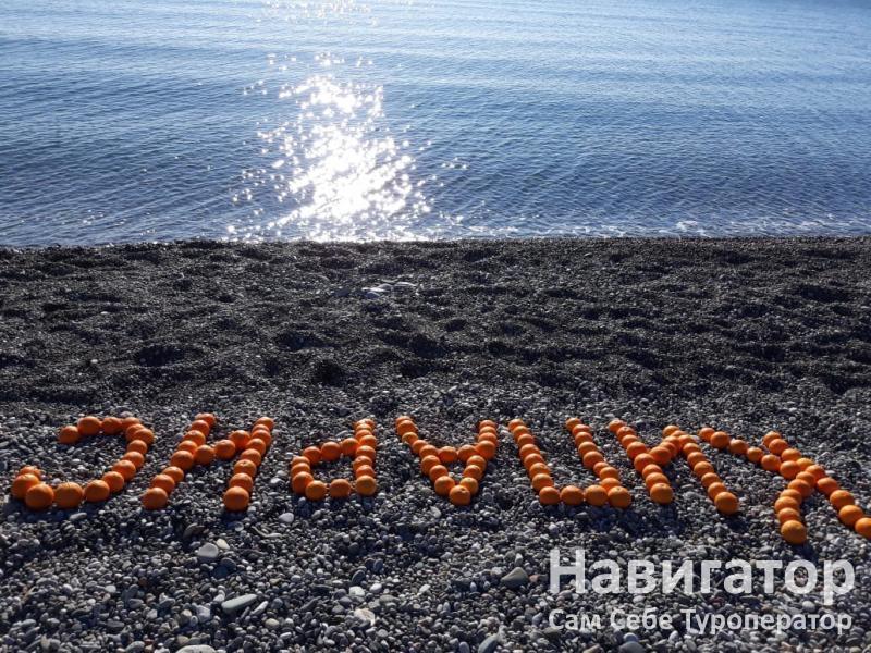 КИПАРИС - база отдыха в Пицунда