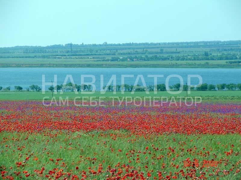 2496 - гостиница в Кучугуры