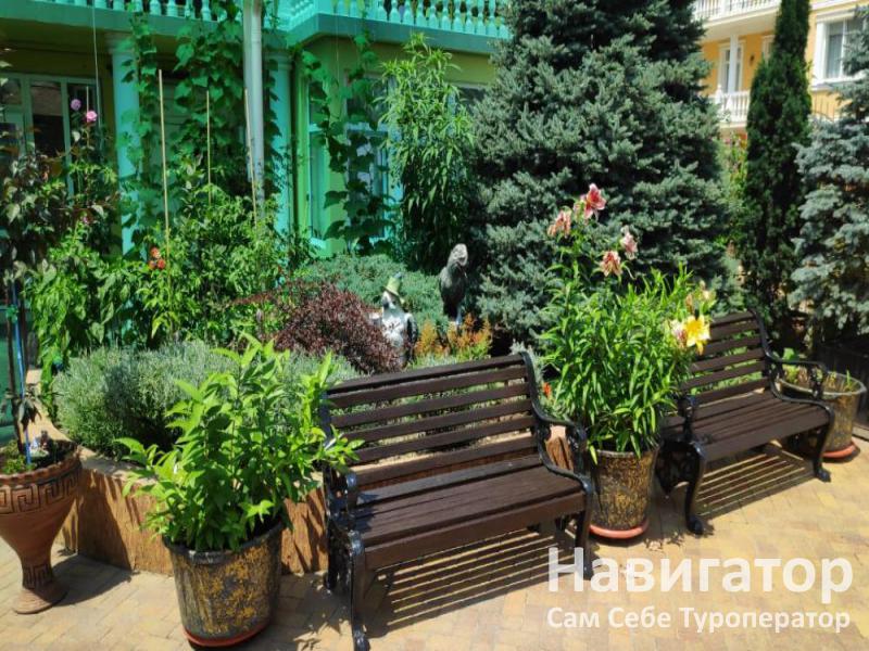 ЗЕЛЕНЫЙ ПОПУГАЙ - отель в Адлер