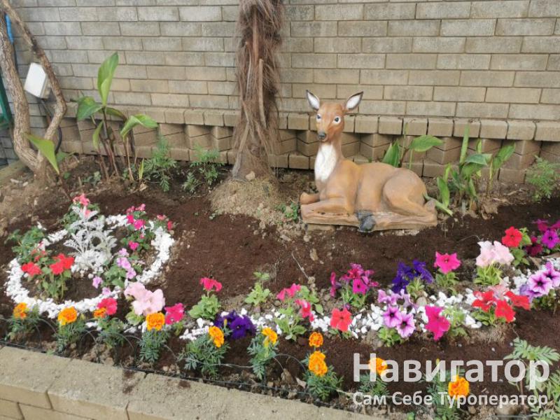 РАЙСКИЙ УГОЛОК - гостевой дом в Адлер