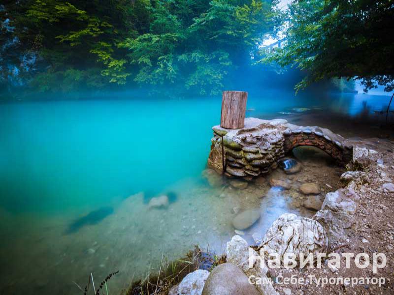 ДЕЛЬФИНЧИК - гостевой дом в Адлер