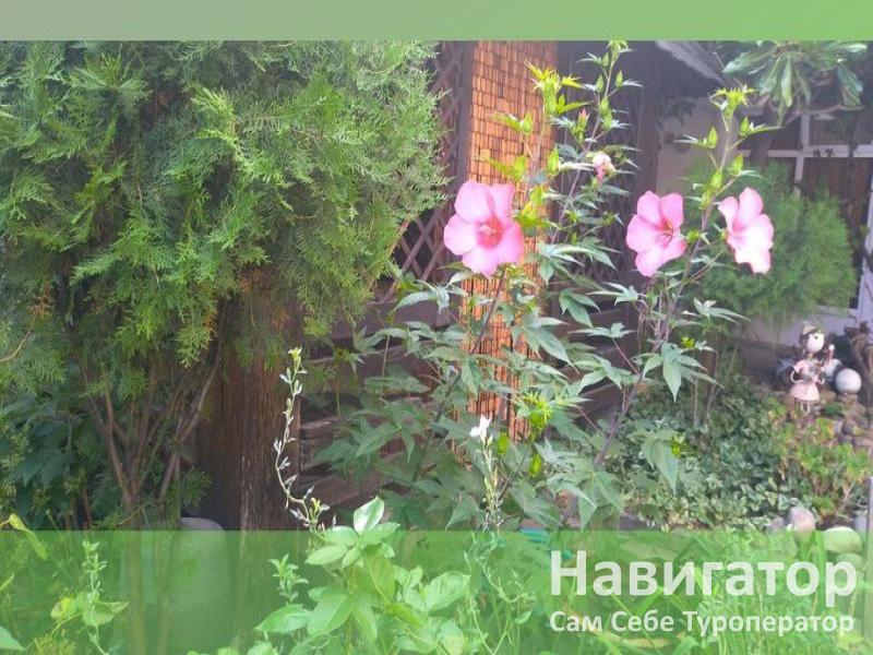 НАТАЛИ - гостевой дом в Кабардинка