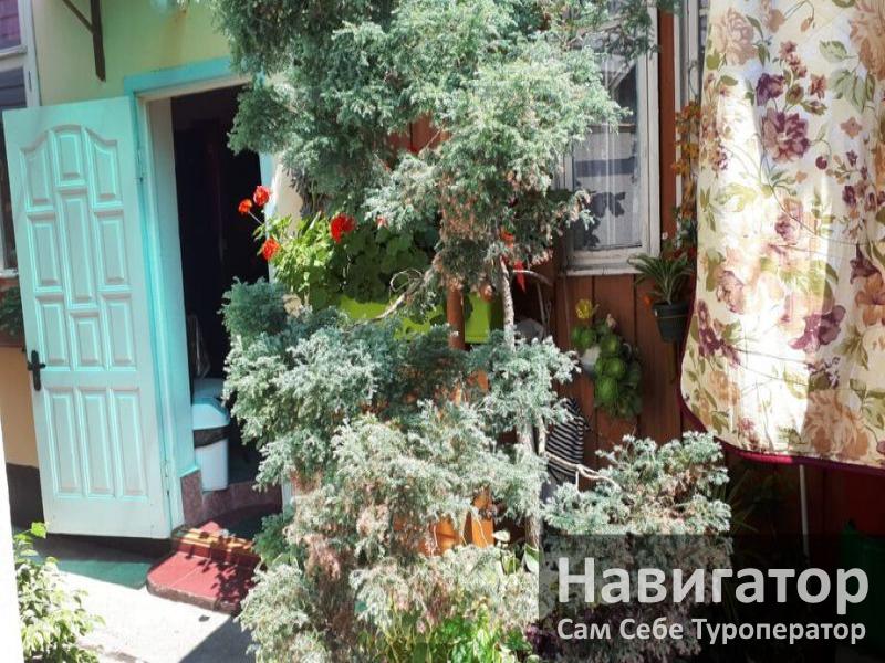 ПЕТР - гостевой дом в Нижне-Имеретинская бухта