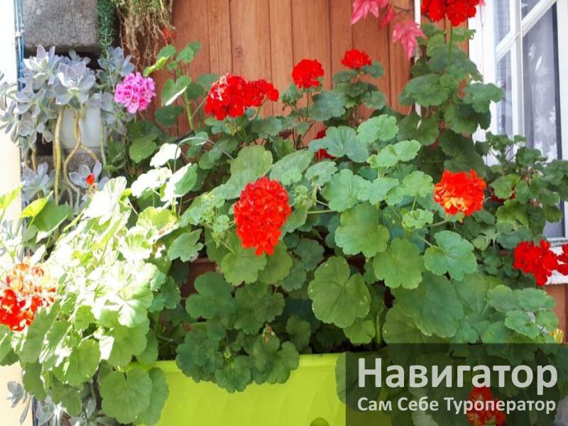 ПЕТР - гостевой дом в Нижне-Имеретинская бухта