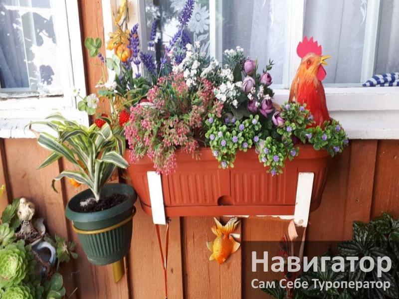 ПЕТР - гостевой дом в Нижне-Имеретинская бухта