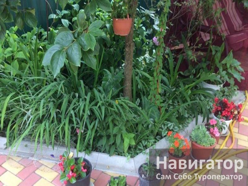 ВЕРОНА – гостевой дом в Адлер