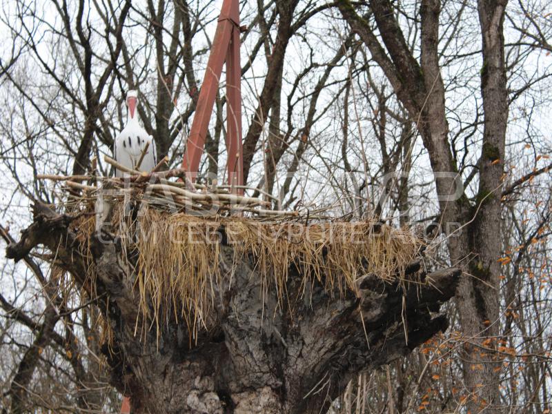 ЛЕСНАЯ - база отдыха в Абинский район