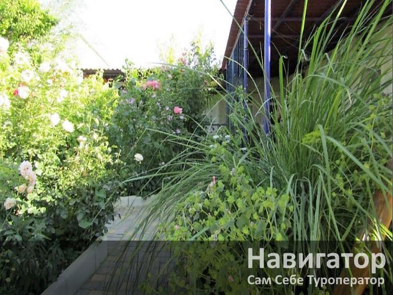 ЗВЕЗДНОЕ НЕБО - гостевой дом в Евпатория