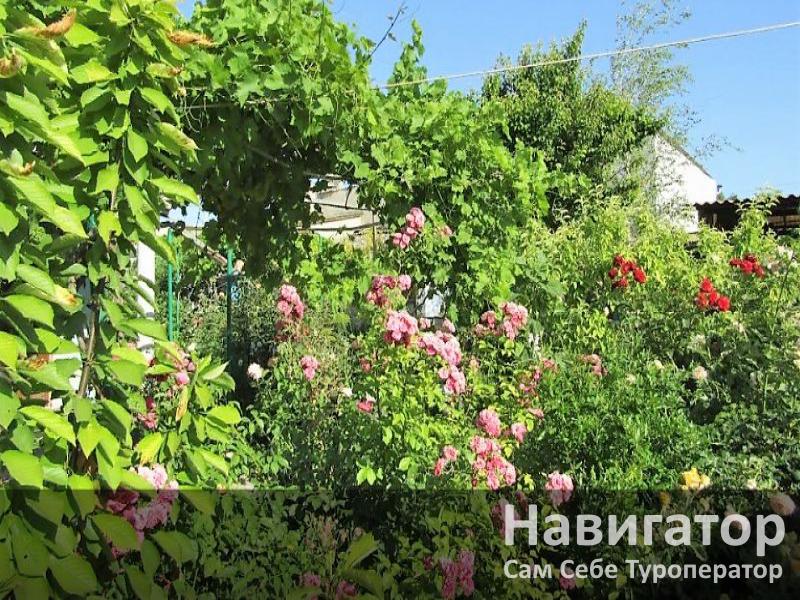 ЗВЕЗДНОЕ НЕБО - гостевой дом в Евпатория