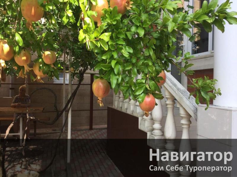 АКВАРИУМ - гостевой дом в Геленджик