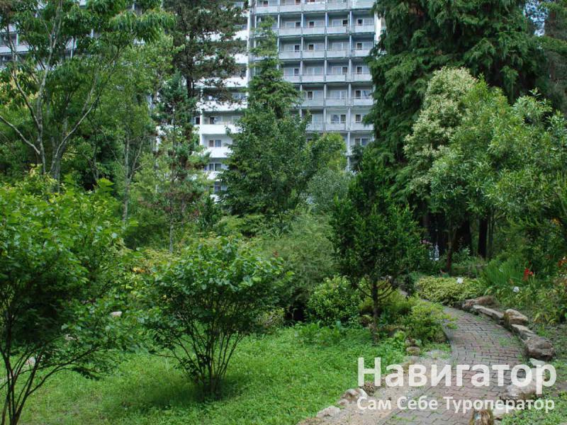 БЕЛЫЕ НОЧИ – санаторий в Курортные поселки Лазаревского района