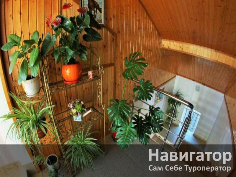 УДАЧА - мини-гостиница в Геленджик центр
