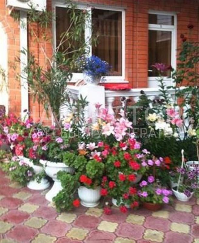 3421 - гостиница в Дивноморское