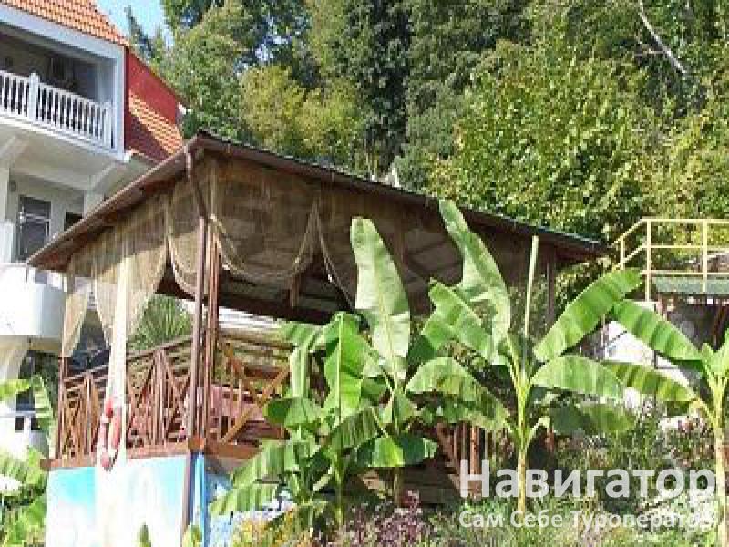 РУСАЛОЧКА - отель в Хоста