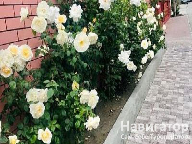 АРАРАТ - гостиница в Адлер