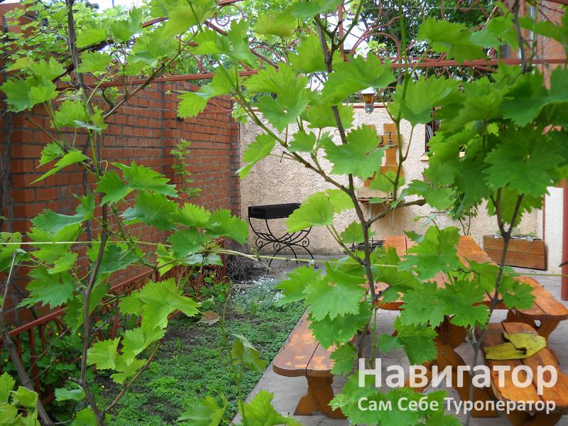 СИМ-СИМ - гостевой дом в Анапа